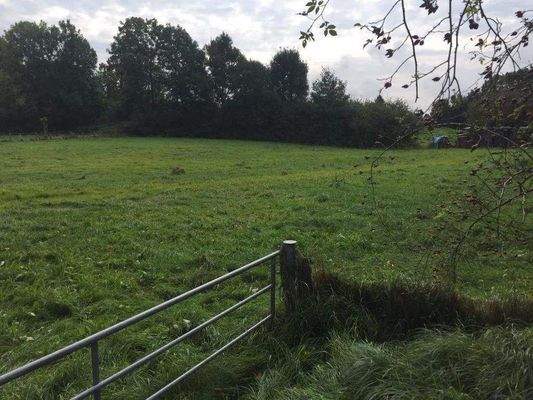 Blick auf das Grundstück