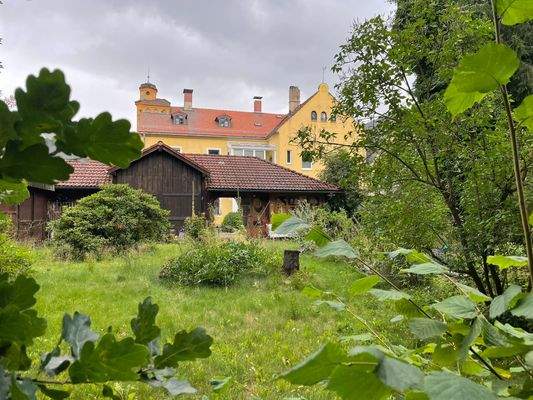 Park mit Gebäude im Hintergrund
