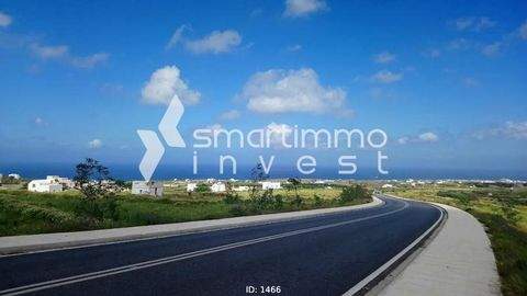 Fira, Santorini - Thira Bauernhöfe, Landwirtschaft, Fira, Santorini - Thira Forstwirtschaft