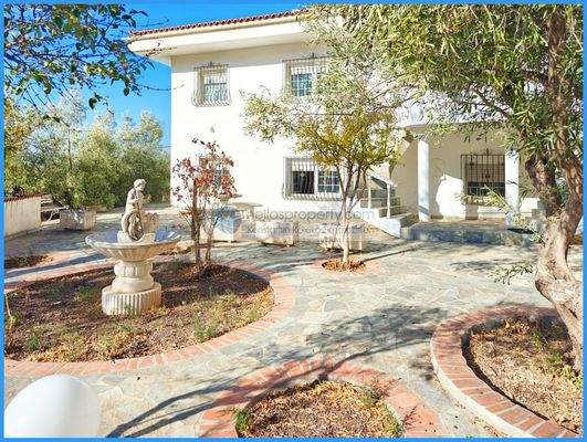 ec17cfb8641541a28af465404444e02b-original