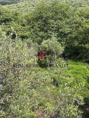 WhatsApp Image 2025-05-11 at 10.27.33-12.jpeg