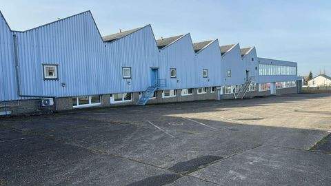 Vinningen Halle, Vinningen Hallenfläche