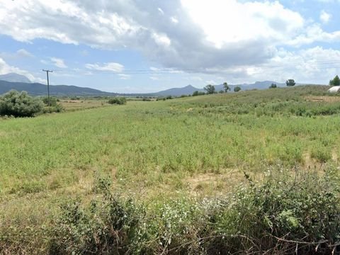 Mittelgriechenland Bauernhöfe, Landwirtschaft, Mittelgriechenland Forstwirtschaft
