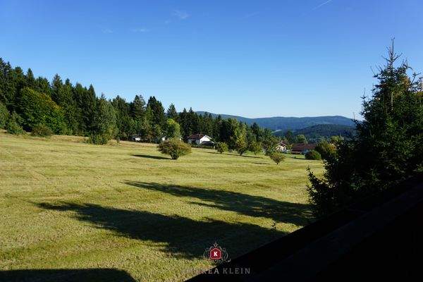 Blick vom Ostbalkon aus ...