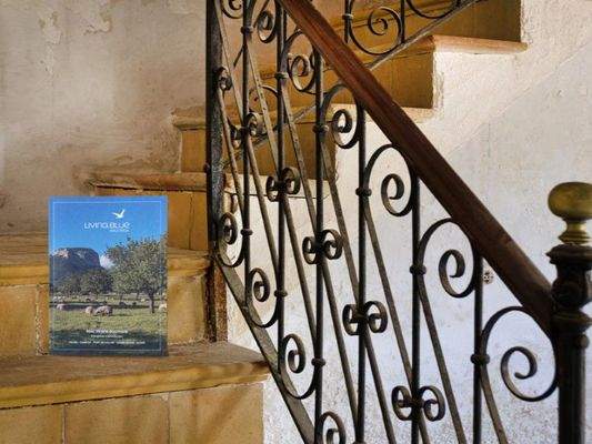 House-reform-for-sale-Muro-Living-Blue-Mallorca (19)