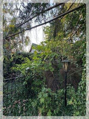 bebaut mit abrissfähigem Bungalow