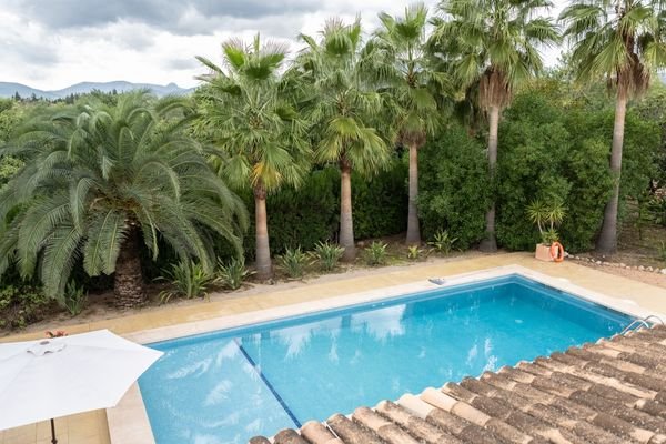 PALMANYOLA-POOL-BBC-AVOCADO-FINCA-GARTEN