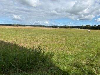 Weitere Möglichkeiten