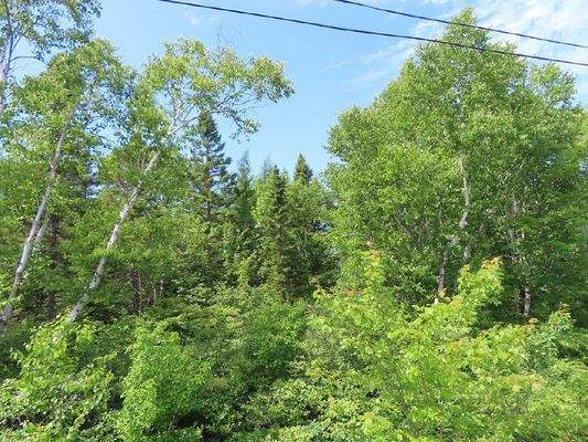 Cape Breton - Neu-Erschließung mit 7 Lots - 23 Hek