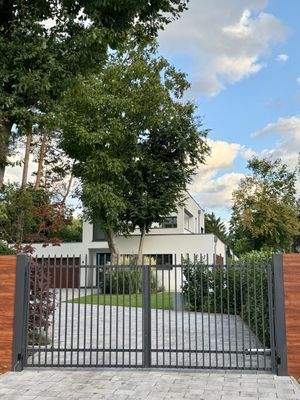 Straßenansicht / Auffahrt mit elektrischem Tor 