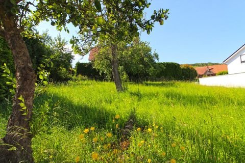 Lübbecke Grundstücke, Lübbecke Grundstück kaufen