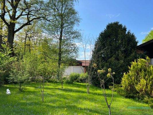 gut geschnittenes Grundstück