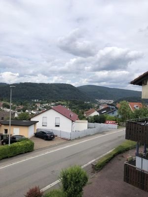 Ausblick über Eberbach