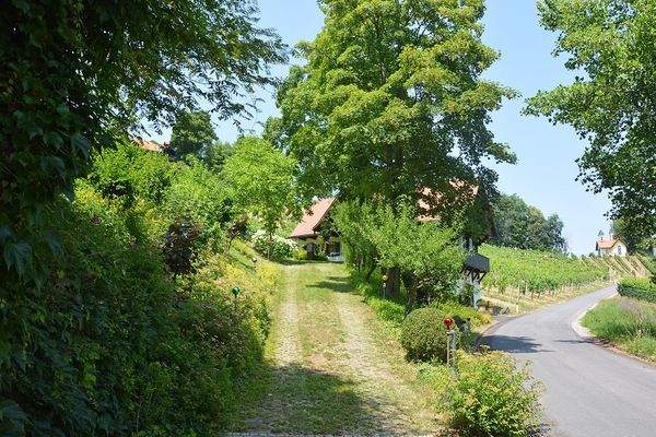 Blick Garage zum Haus