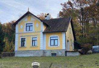 01 Landhaus Hütteldorf