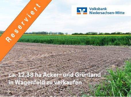 Wagenfeld Bauernhöfe, Landwirtschaft, Wagenfeld Forstwirtschaft