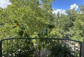 Französischer Balkon