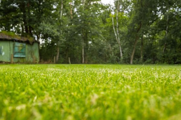 Grundstück hinten Gartenbereich