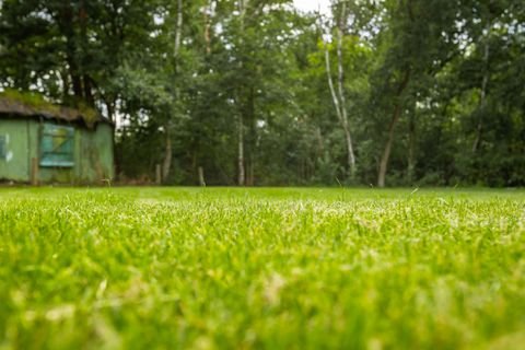 Wedemark Grundstücke, Wedemark Grundstück kaufen