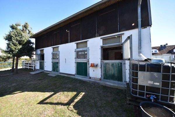 Stallungen mit Winterpaddockmöglichkeit