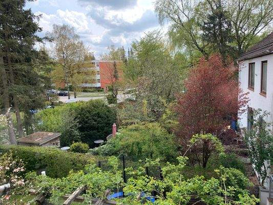 WE4Nr2 Blick Garten.jpeg