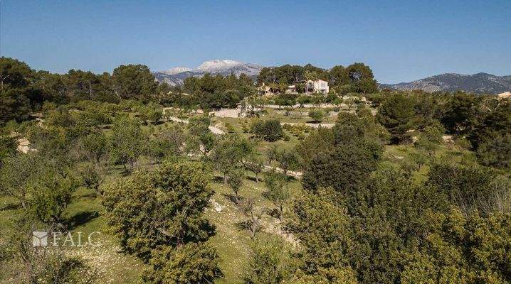 grundstueck-selva-26