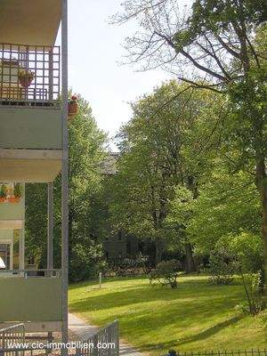 großes grünes Grundstück