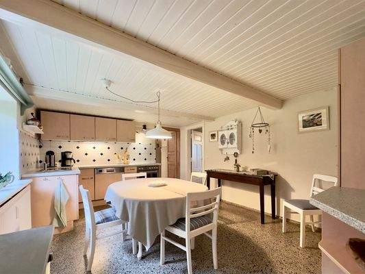 Ferienhaus Küche Ansicht 3