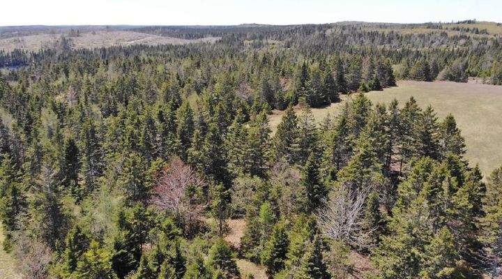 Cape Breton - 11,4 Hektar inmitten einer herrliche