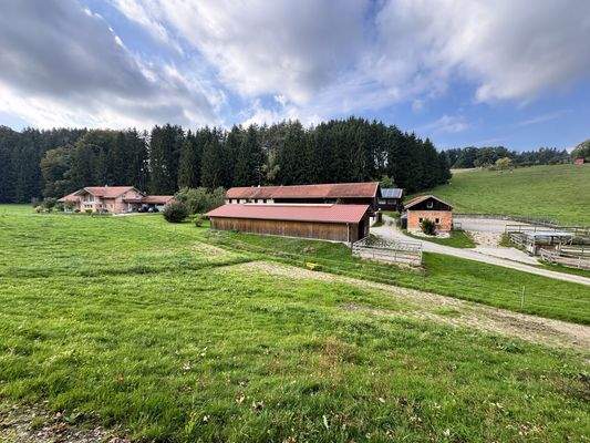 Koppel, Stall & Reitplatz