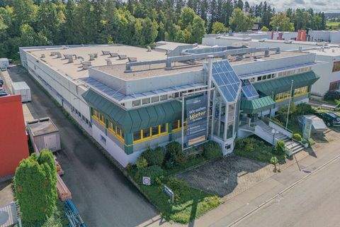 Schramberg Halle, Schramberg Hallenfläche