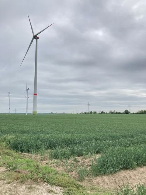 Teuchern Bauernhöfe, Landwirtschaft, Teuchern Forstwirtschaft