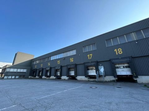 Dortmund Halle, Dortmund Hallenfläche