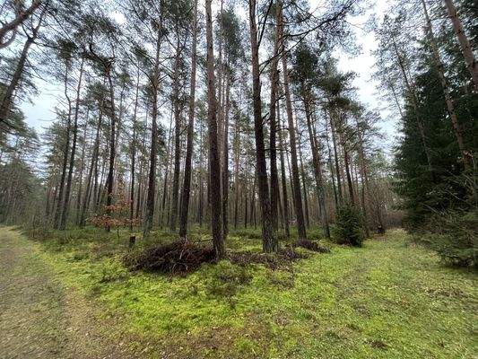 Wege auch durchs Grundstück