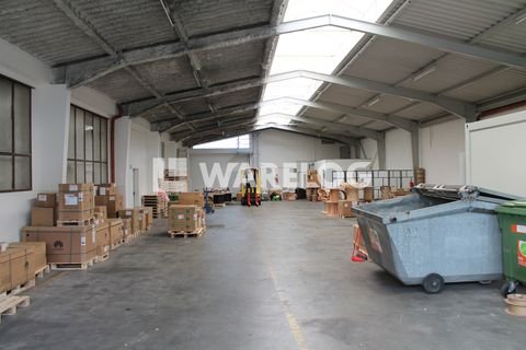Kirchheim unter Teck Halle, Kirchheim unter Teck Hallenfläche