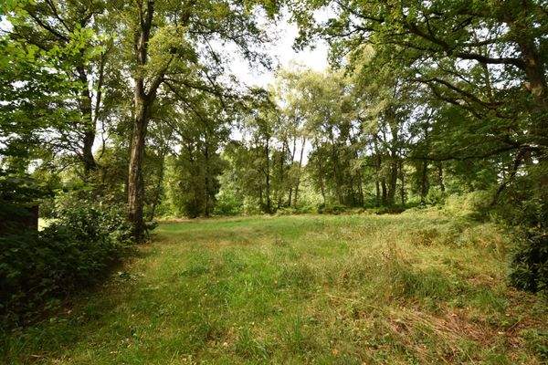 Gelände vor Teich rechts.jpg