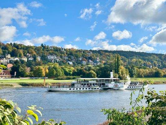 herrlicher Blick vom Grundstück auf die Elbe