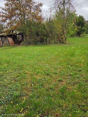Blick auf das Grundstück mit Holzhaus 