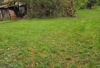 Blick auf das Grundstück mit Holzhaus 