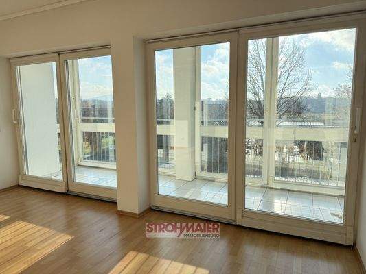 Fensterfront Wintergarten