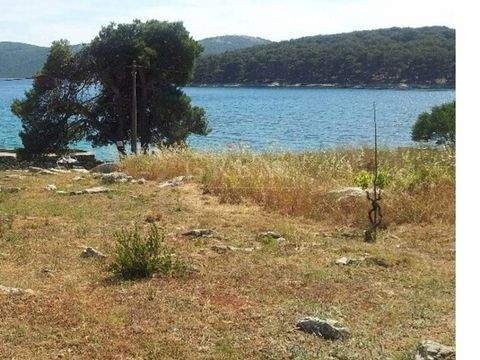 Ist - Molat Bauernhöfe, Landwirtschaft, Ist - Molat Forstwirtschaft