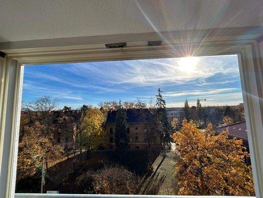 Blick über Spandau bis zum Teufelsberg