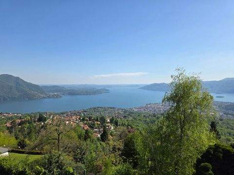 Bee Häuser, Bee Haus kaufen