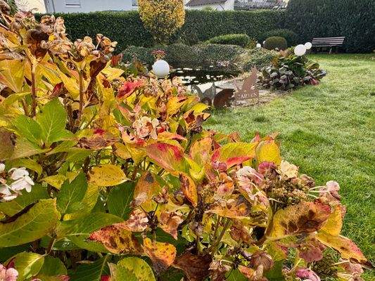 Impression mit Gartenteich