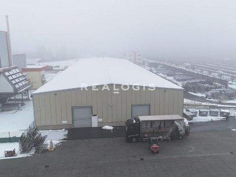 Braunsbedra Halle, Braunsbedra Hallenfläche