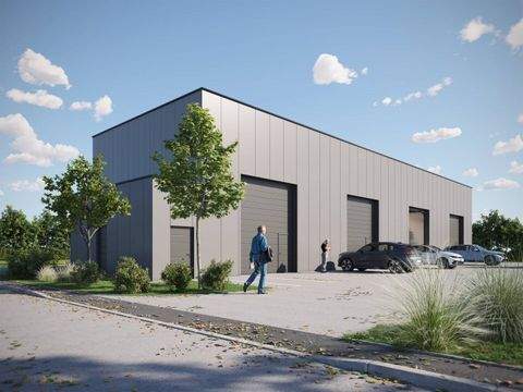 Asten Halle, Asten Hallenfläche