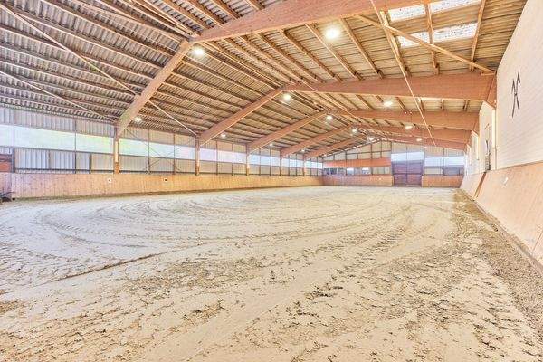 05 Reithalle 20 x 40 Meter.jpg