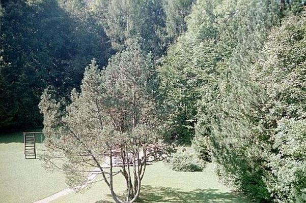 Balkonblick