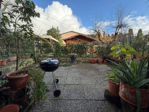 DD61B5D8-1ACF-49C4-9031-6D68CBEDBC6B_4_5005_c