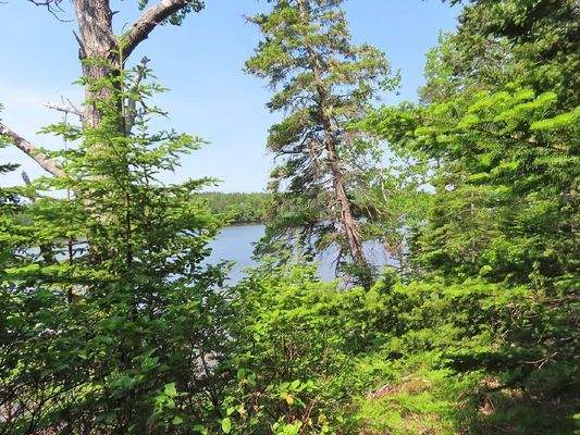 Cape Breton - Cleveland - Wunderschönes Fluss-Ufer